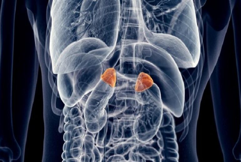 1734370601.044258_672824_image