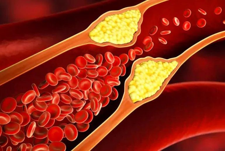 1734370623.698111_173469_image