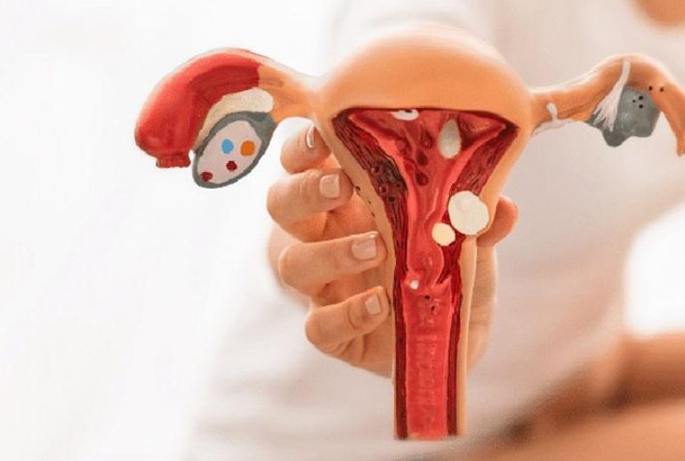 1734370732.278218_552582_image